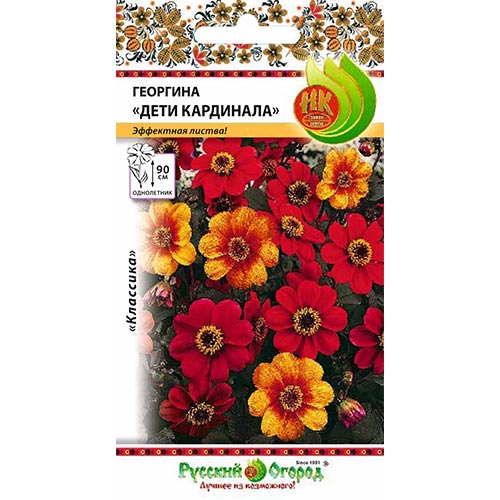 Георгина Дети Кардинала, смесь окрасок изображение 1 артикул 92496