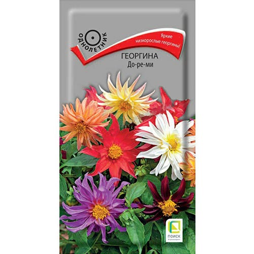 Георгина До-ре-ми, смесь окрасок изображение 1 артикул 92943