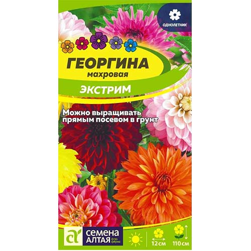 Георгина Экстрим, смесь окрасок Семена Алтая изображение 1 артикул 84810