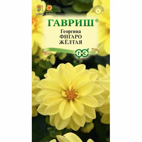 Георгина Фигаро желтая Гавриш изображение 1 артикул 87991