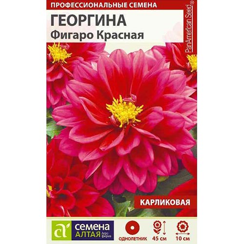 Георгина Фигаро Красная, семена изображение 1 артикул 94162