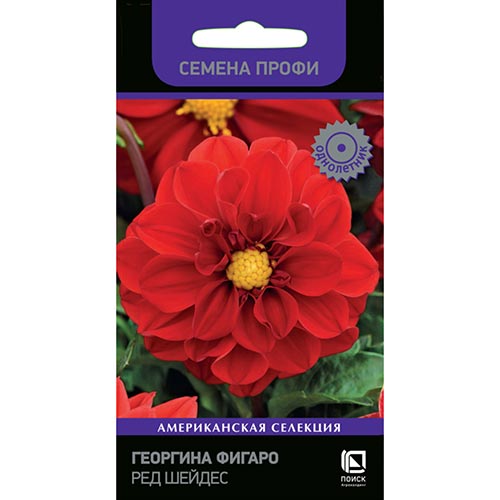 Георгина Фигаро Ред Шейдес, семена изображение 1 артикул 92945