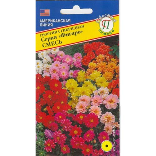 Георгина Фигаро, смесь окрасок Престиж изображение 1 артикул 84468