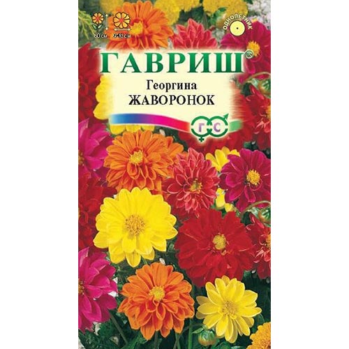 Георгина Жаворонок, смесь окрасок изображение 1 артикул 92014