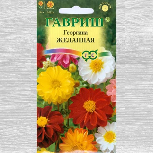 Георгина Желанная, смесь окрасок Гавриш изображение 1 артикул 73826