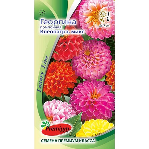 Георгина Клеопатра, смесь окрасок Premium Seeds изображение 1 артикул 83902