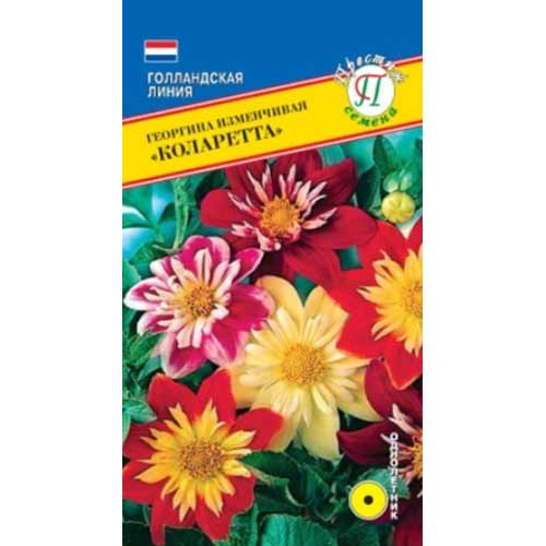 Георгина изменчивая Коларетта, смесь окрасок Престиж изображение 1 артикул 71431