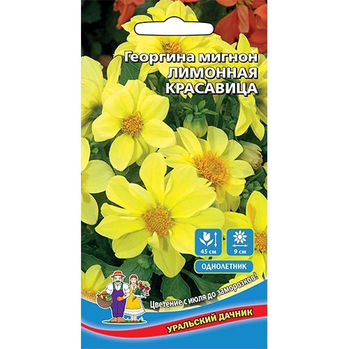 Георгина Лимонная красавица, семена изображение 1 артикул 94781