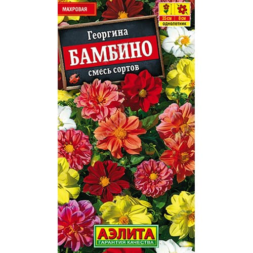 Георгина махровая Бамбино, смесь окрасок Аэлита изображение 1 артикул 98934
