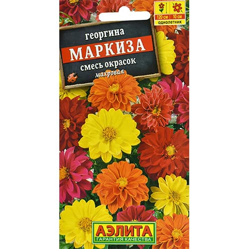 Георгина махровая Маркиза, смесь окрасок Аэлита изображение 1 артикул 98935