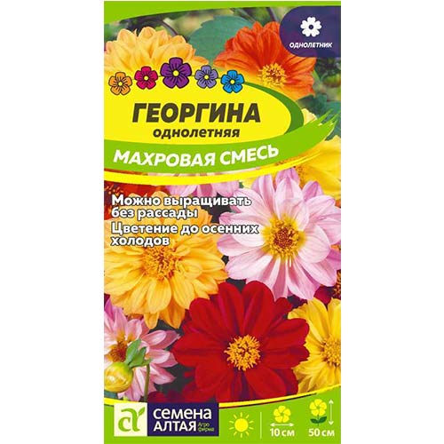 Георгина Махровая, смесь окрасок Семена Алтая изображение 1 артикул 78142