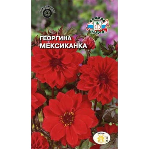 Георгина Мексиканка, семена изображение 1 артикул 93745