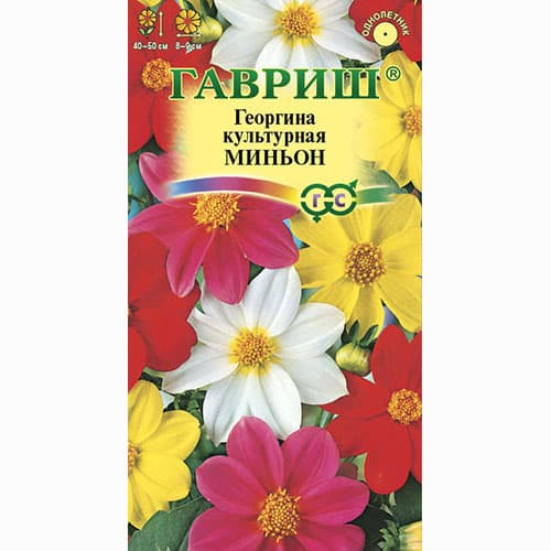 Георгина Миньон, смесь окрасок Гавриш изображение 1 артикул 66059