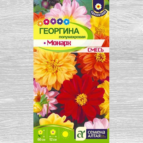 Георгина Монарх, смесь окрасок изображение 1 артикул 78143