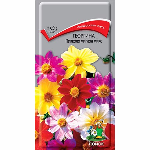 Георгина Пикколо мигнон, смесь окрасок Поиск изображение 1 артикул 82106
