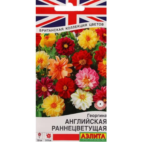 Георгина раннецветущая Английская Аэлита изображение 1 артикул 98930