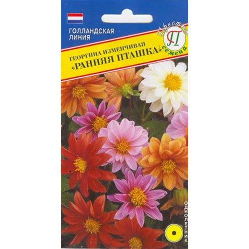 Георгина Ранняя пташка, смесь окрасок Престиж артикул фото 1 Георгина Ранняя пташка, смесь окрасок Престиж изображение 1 артикул 84470