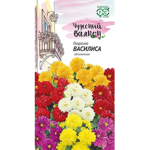 Георгина Василиса, смесь окрасок изображение 1 артикул 92013