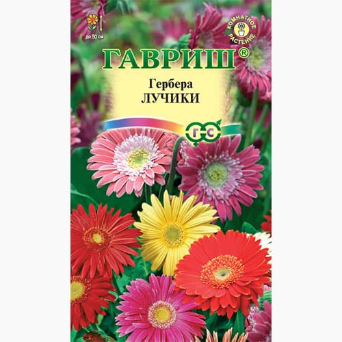 Георгина Яркие помпоны, смесь окрасок Гавриш изображение 1 артикул 66060