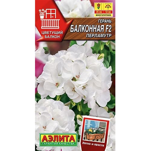 Герань Балконная перламутр F2 Аэлита изображение 1 артикул 40336