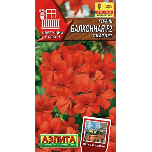 Герань Балконная скарлет F2 Аэлита артикул фото 1 Герань Балконная скарлет F2 Аэлита изображение 1 артикул 40337