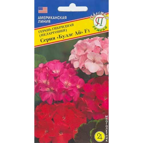 Герань гибридная Буллс Ай F1, смесь окрасок Престиж артикул фото 1 Герань гибридная Буллс Ай F1, смесь окрасок Престиж изображение 1 артикул 81336