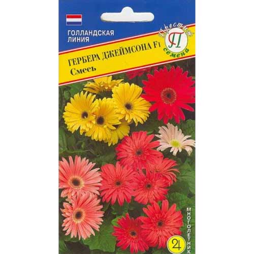 Гербера Джеймсона F1, смесь окрасок Престиж изображение 1 артикул 65828