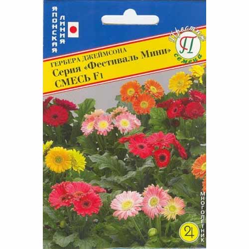 Гербера Фестиваль F1 Престиж изображение 1 артикул 40788