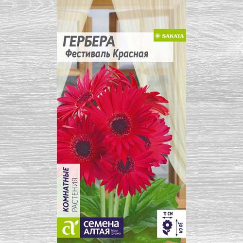 Гербера Фестиваль Красная изображение 1 артикул 78221