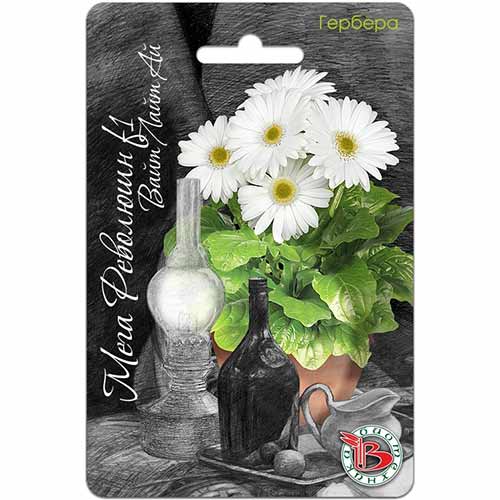 Гербера горшечная Мега Революшн Вайт Лайт Ай Биотехника изображение 1 артикул 74972