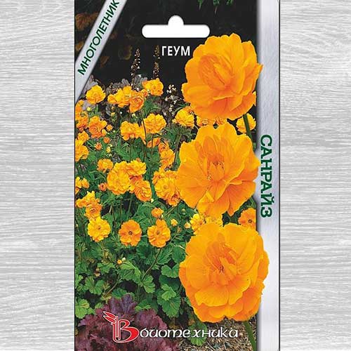 Геум махровый Санрайз изображение 1 артикул 74800