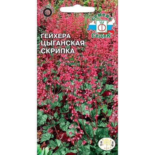 Гейхера Цыганская скрипка, семена изображение 1 артикул 93733