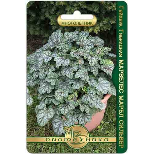 Гейхера гибридная Марвелес Марбл Сильвер Биотехника изображение 1 артикул 97333