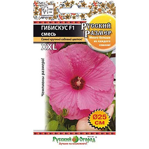 Гибискус Русский Размер F1, смесь окрасок артикул фото 1 Гибискус Русский Размер F1, смесь окрасок изображение 1 артикул 92498