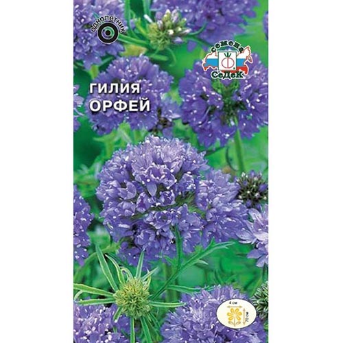 Гилия Орфей, семена изображение 1 артикул 93749