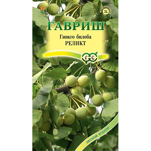 Гинкго двулопастный Реликт, семена изображение 1 артикул 92016