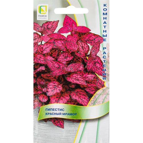 Гипестис Красный мрамор, семена изображение 1 артикул 92947