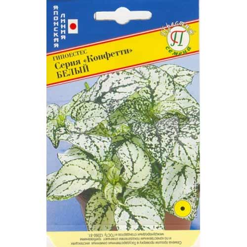 Гипоэстес Конфетти белый Престиж изображение 1 артикул 71433