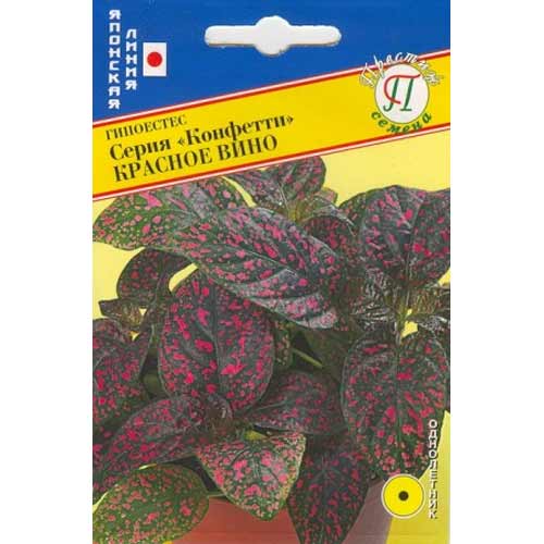 Гипоэстес Конфетти Красное вино Престиж изображение 1 артикул 71434