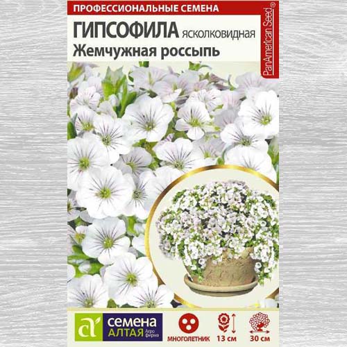 Гипсофила Жемчужная россыпь изображение 1 артикул 78208