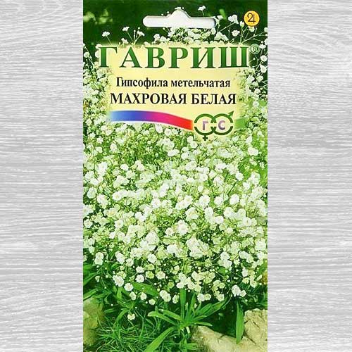 Гипсофила Махровая белая Гавриш изображение 1 артикул 82356