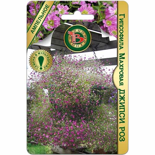 Гипсофила махровая Джипси Роз Биотехника изображение 1 артикул 74826