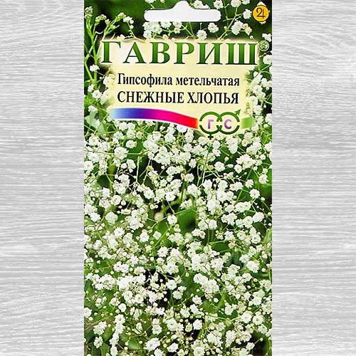 Гипсофила Снежные хлопья Гавриш изображение 1 артикул 82357
