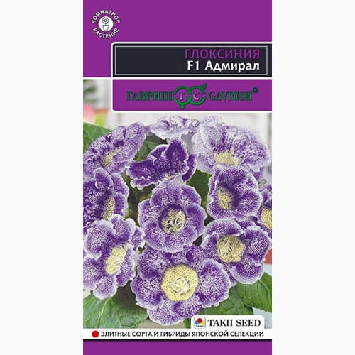 Глоксиния Адмирал Гавриш изображение 1 артикул 97669