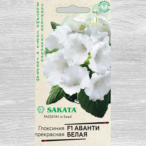Глоксиния Аванти белая F1 Гавриш изображение 1 артикул 82358