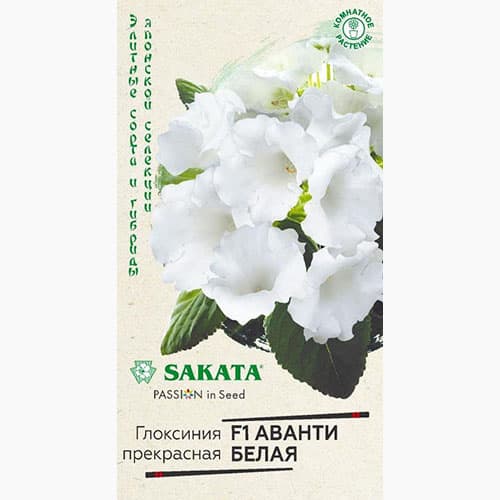 Глоксиния Аванти белая F1 Гавриш изображение 1 артикул 97665