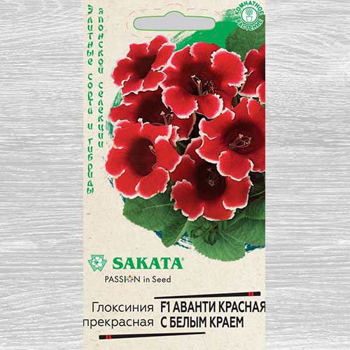 Глоксиния Аванти красная с белым краем F1 Гавриш изображение 1 артикул 82360