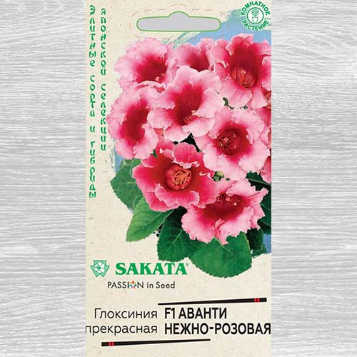 Глоксиния Аванти нежно-розовая F1 Гавриш изображение 1 артикул 82361