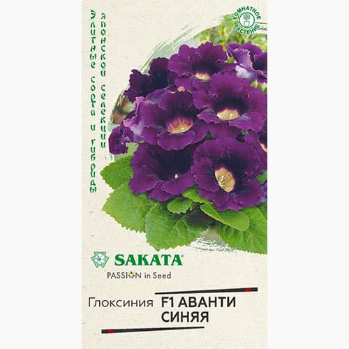Глоксиния Аванти синяя F1 Гавриш изображение 1 артикул 97667