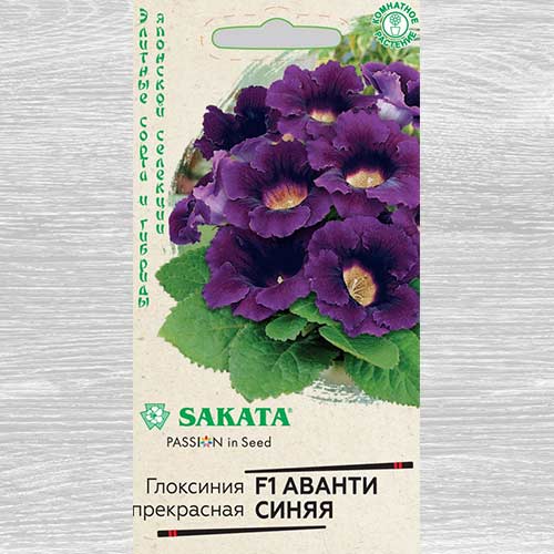 Глоксиния Аванти синяя F1 Гавриш изображение 1 артикул 82364